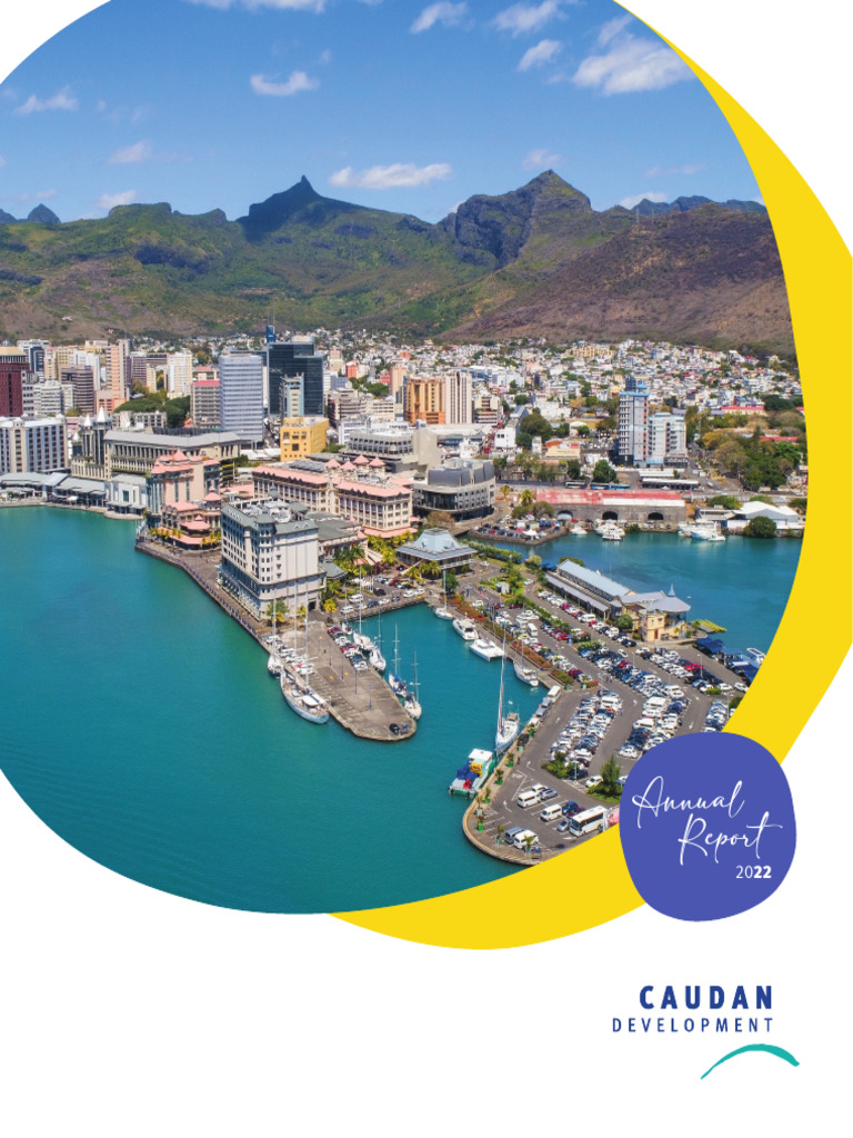 CDL Annual Report 2022 PDF Governance Corporate Governance