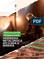 Especializacion Internacional Ingenieria Metalurgica