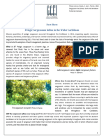 GCFISargassum Fact Sheet