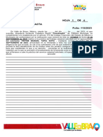 Acta Levantamientos Topograficos-2