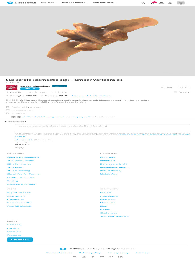 Sus Scrofa (Domestic Pig) - Lumbar Vertebra Ex. | PDF