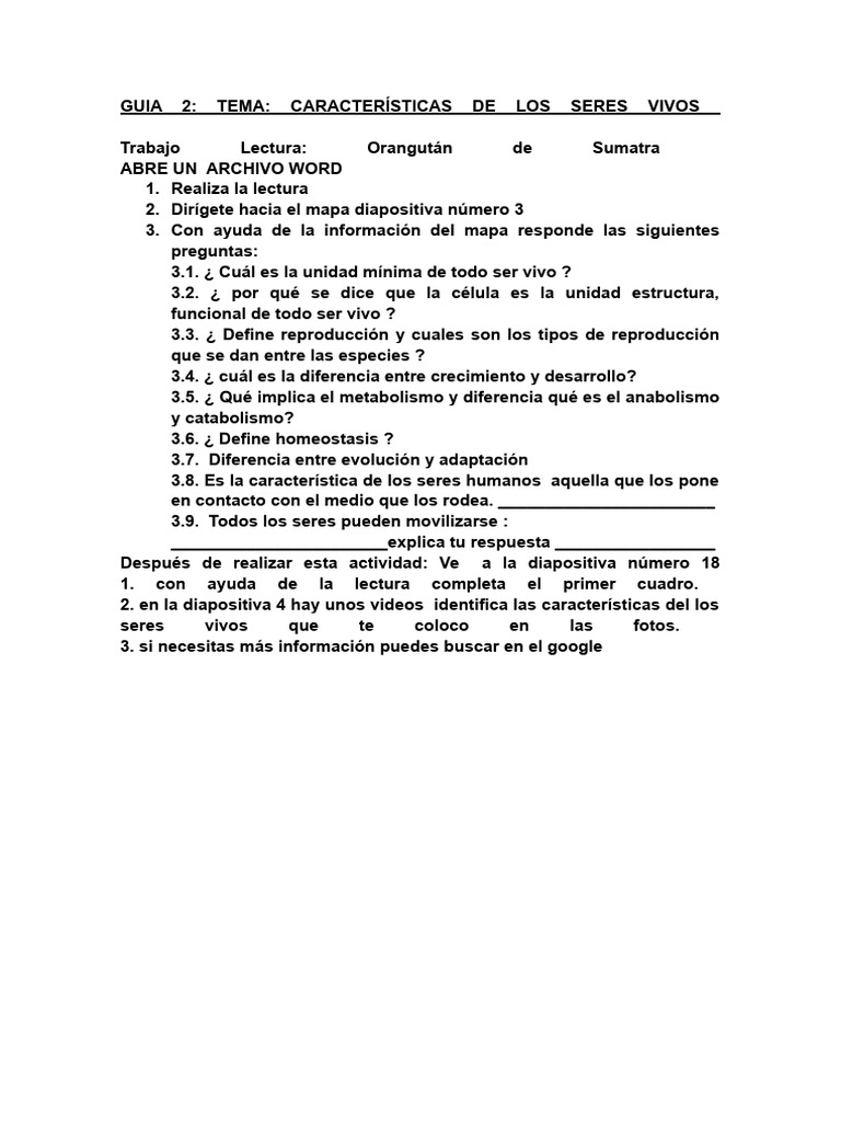 Lectura El Orangutan De Sumatra Pdf Orangut N Alimentos