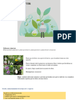 Resultados HPLC IR