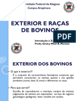 Exterior e Raças Bovinas Profa. Greicy