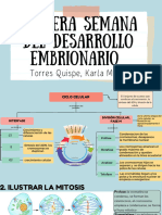 Primera Semana Del Desarrolo Embrionario-Torres Quispe Karla