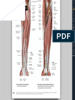 Prometheus. Atlas de Anatomía