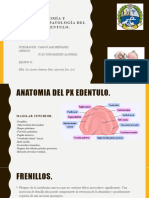 Copia de Anatomía y Fisiopatología Del PX Edentulo