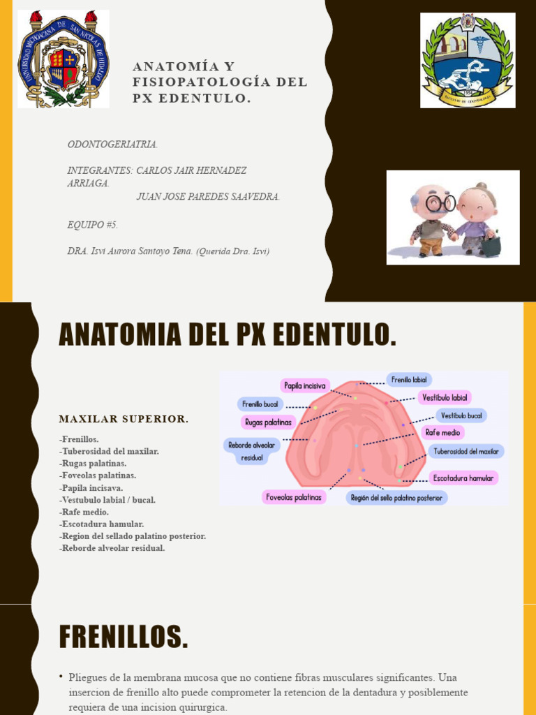 Copia de Anatomía y Fisiopatología Del Px Edentulo | PDF | Lengua | Boca