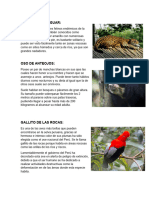 Animales de La Selva