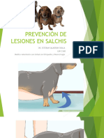 Prevencion de Lesiones en Salchis 2