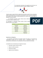 Aminoacidos Nutricion