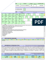 Anamnesis Ejemplo