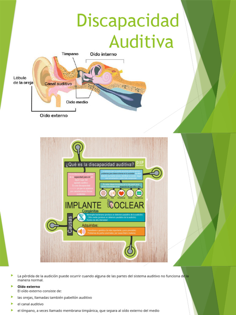 Discapacidad Auditiva | PDF | Crecimiento personal y profesional