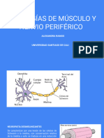 Patología M y N, Alexandra Ramos