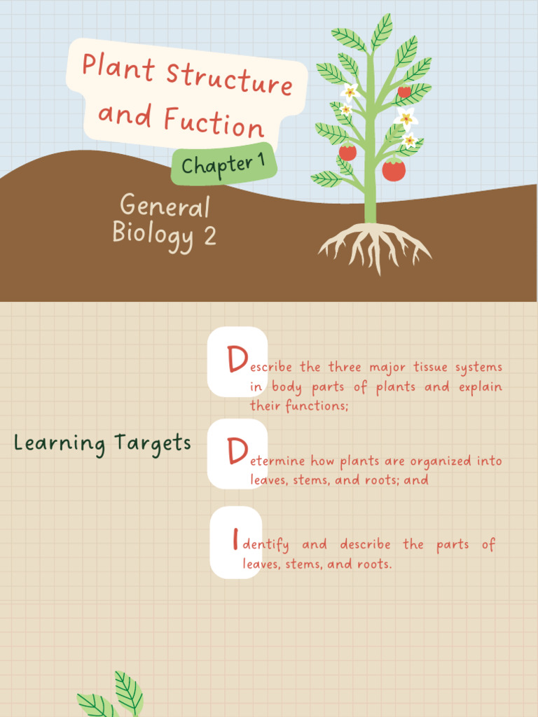 Plant Tissue Types and Functions | PDF | Leaf | Tissue (Biology)