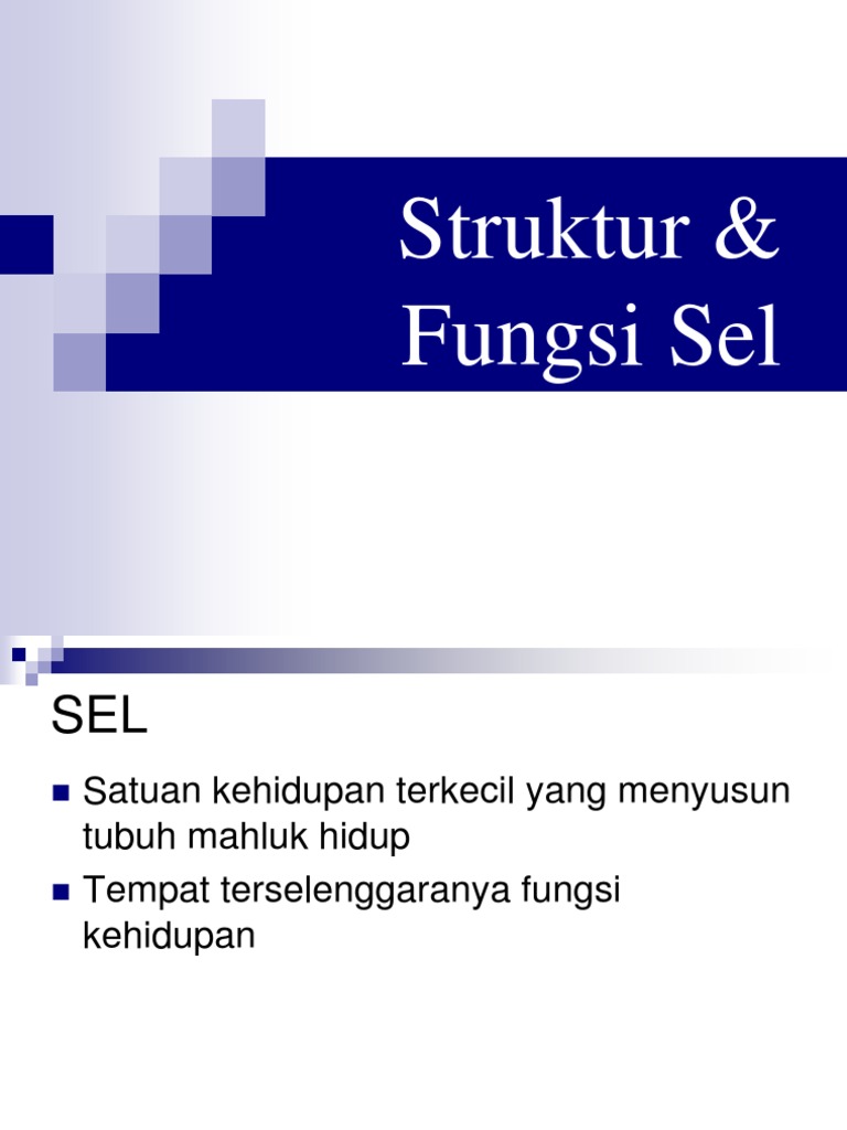1 Sel | PDF