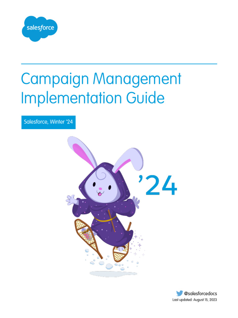 Salesforce Campaign Implementation Guide | Download Free PDF ...