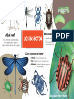 INSECTOS