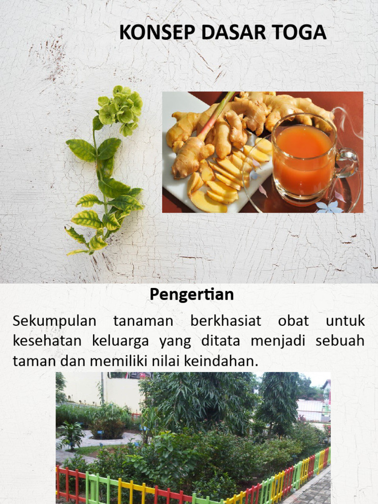 Konsep Dasar Toga | PDF