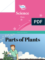 Lesson Presentation Parts of Plants