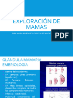 Exploración de Mamas 2