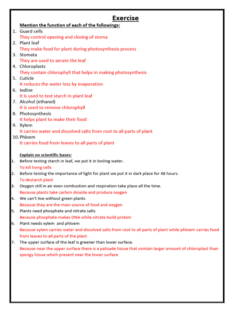 Bio 7 Ex | PDF | Science & Mathematics