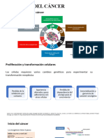 Biología Del Cáncer (Natalia y Vivian)