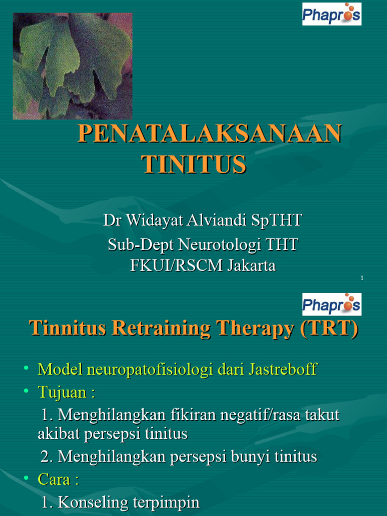 Tinnitus Treatment PDF