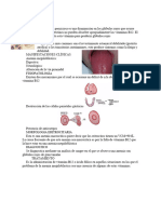 Anemia Perniciosa