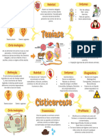 Mapa Mental Teníase e Cisticercose