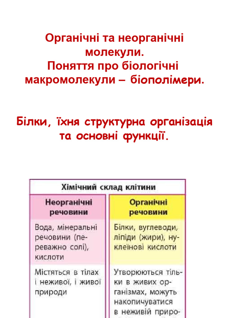 Білки | PDF