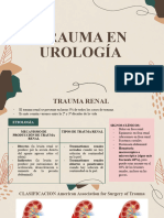 Trauma en Urología