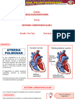 Sistema Cardiovascular I