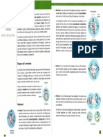 Meiosis Texto Estudiante