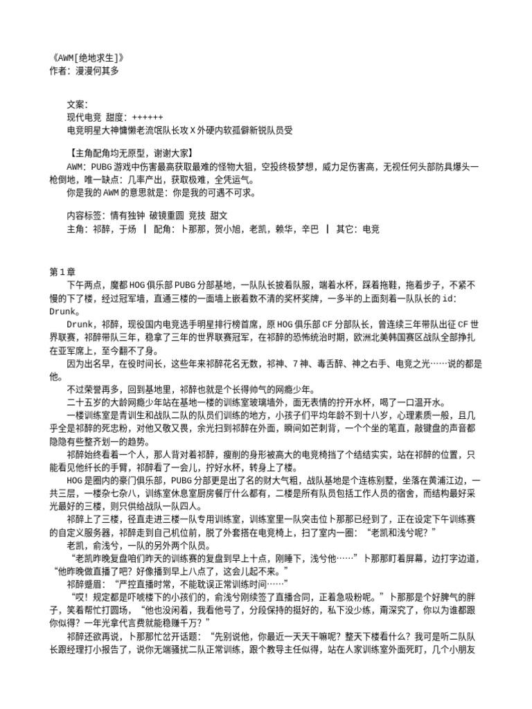 AWM (绝地求生) | PDF