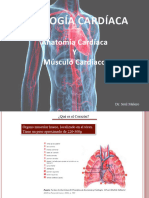 FISIOLOGIA CARDIACA 1era Clase