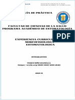 Guía de Práctica Facultad de Ciencias de La Salud Programa Académico de Estomatología Experiencia Curricular Morfofisiologia Estomatologica