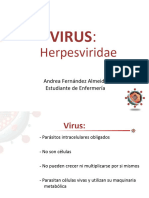 Virus Que Causan Herpes