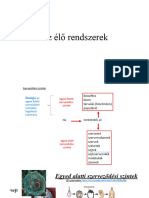 Szerveződési Szintek 4