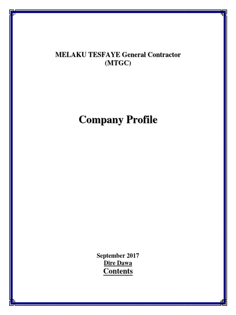 MTGC Company Profile Overview | PDF