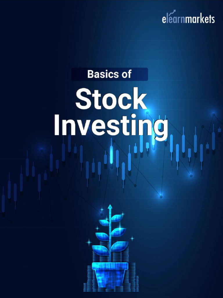 Guide To Basics of Stock Investing PDF