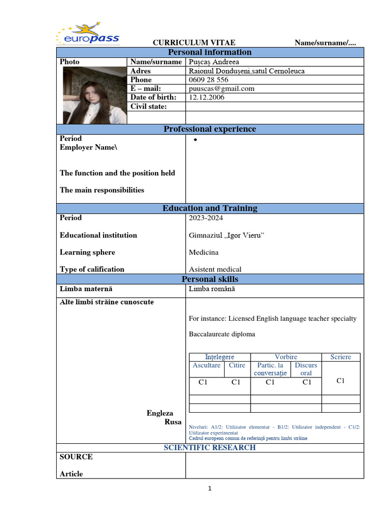 Template CV | PDF