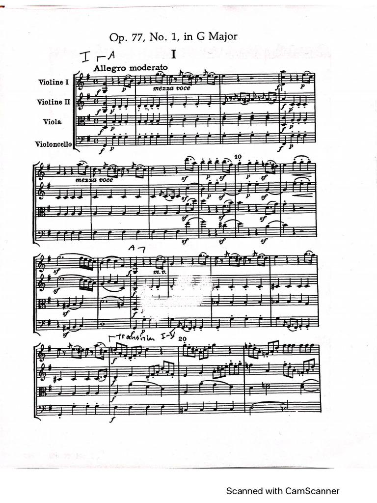 Haydn Op 77 Lauretig Analysis | PDF
