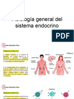 ENDOCRINO