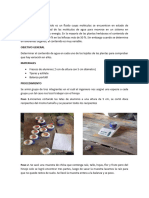 Documento de Determinación