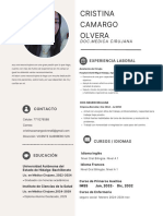 Curriculum Vitae Profesional Mujer Con Iconos Moderno Beige y Blanco