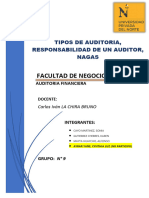 Auditoria Financiera-Grupo N 9
