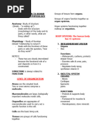 Chapter 1 The Human Body | PDF | Human Body | Blood
