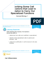 Lesson 5. Cell Modifications