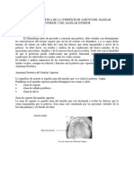 ANATOMiA PROTETICA DE LA SUPERFICIE DE ASIENTO